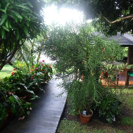 Les Agapanthes Villa Льо Тампон Екстериор снимка