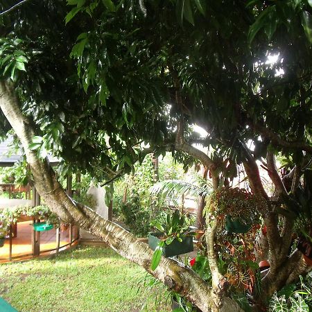Les Agapanthes Villa Льо Тампон Екстериор снимка