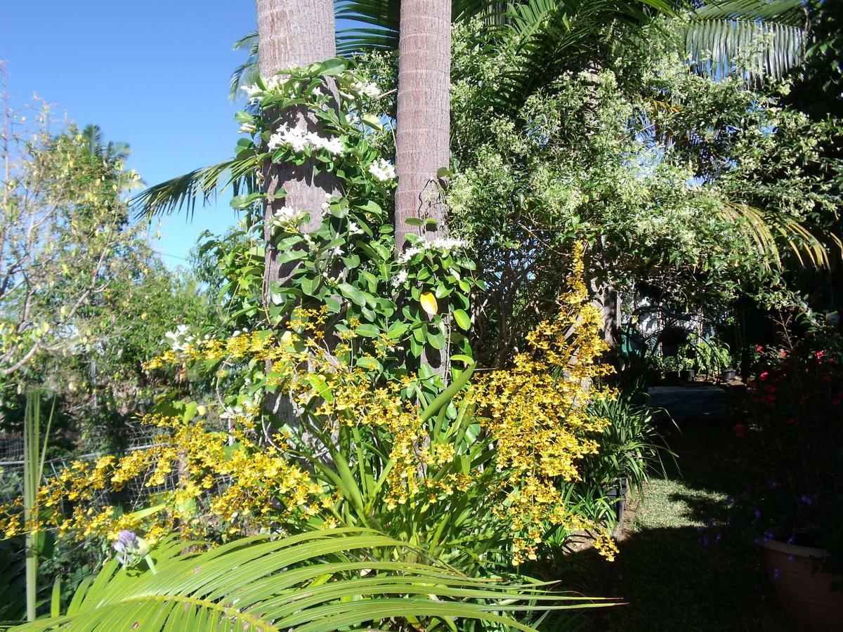 Les Agapanthes Villa Льо Тампон Екстериор снимка