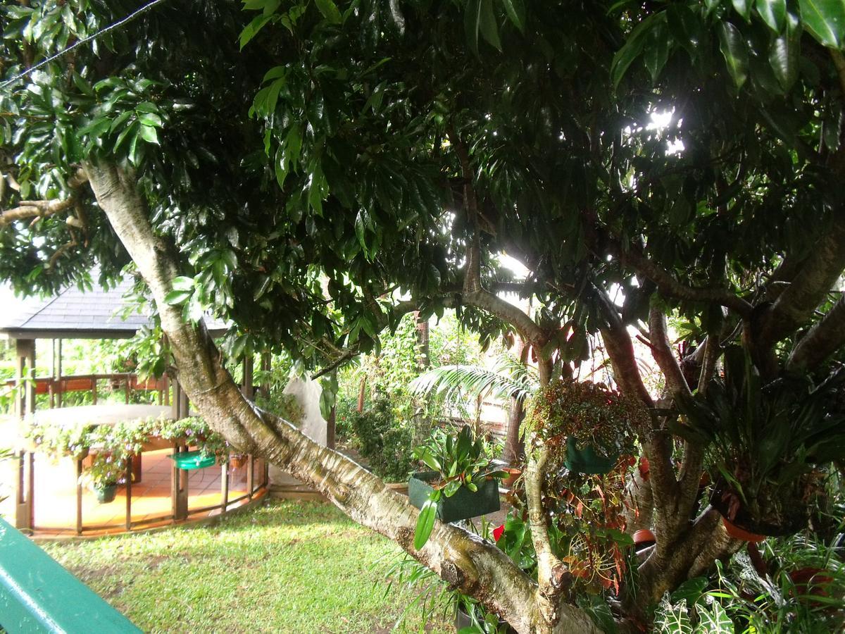 Les Agapanthes Villa Льо Тампон Екстериор снимка