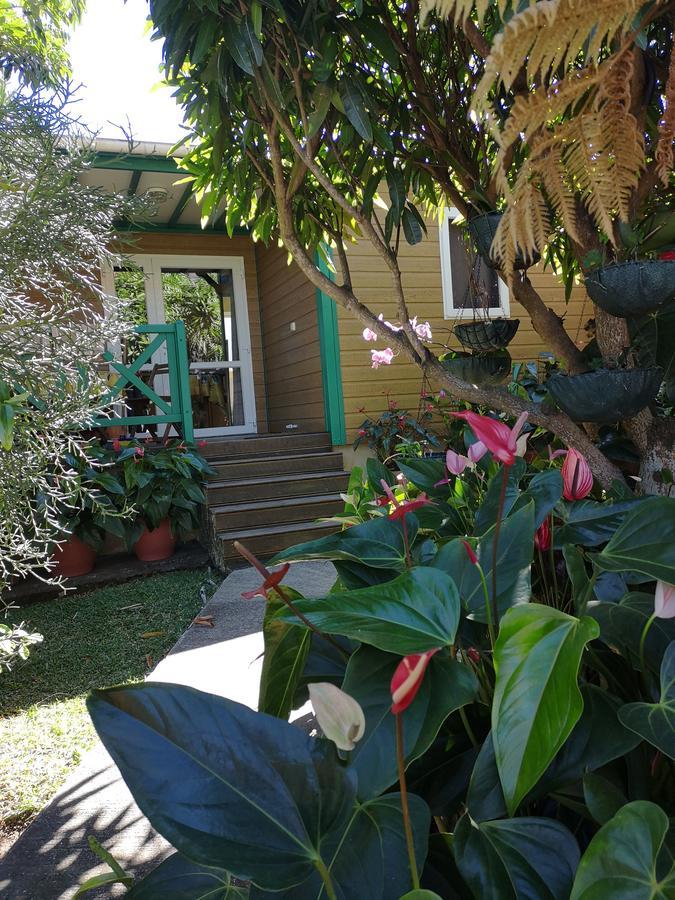 Les Agapanthes Villa Льо Тампон Екстериор снимка