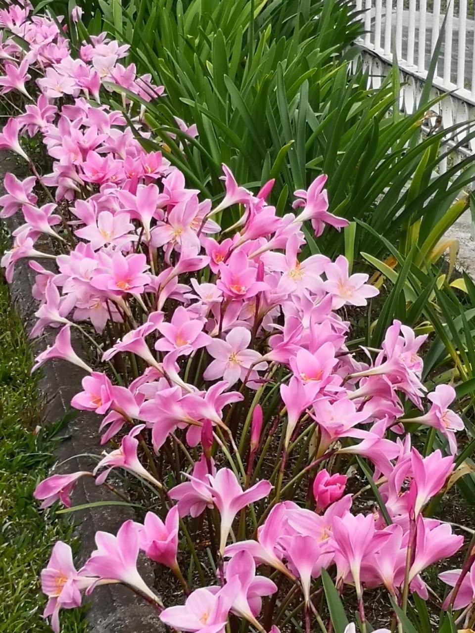 Les Agapanthes Villa Льо Тампон Екстериор снимка
